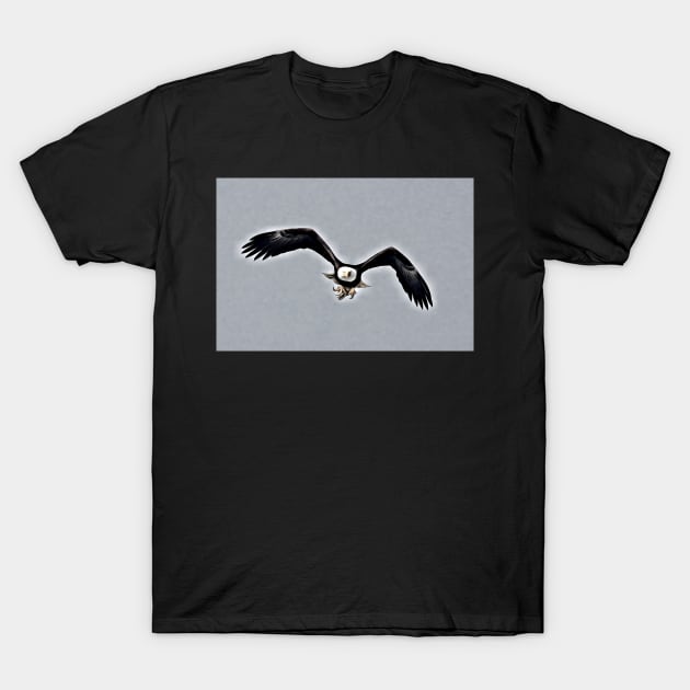 American Eagle T-Shirt by bradyclarke